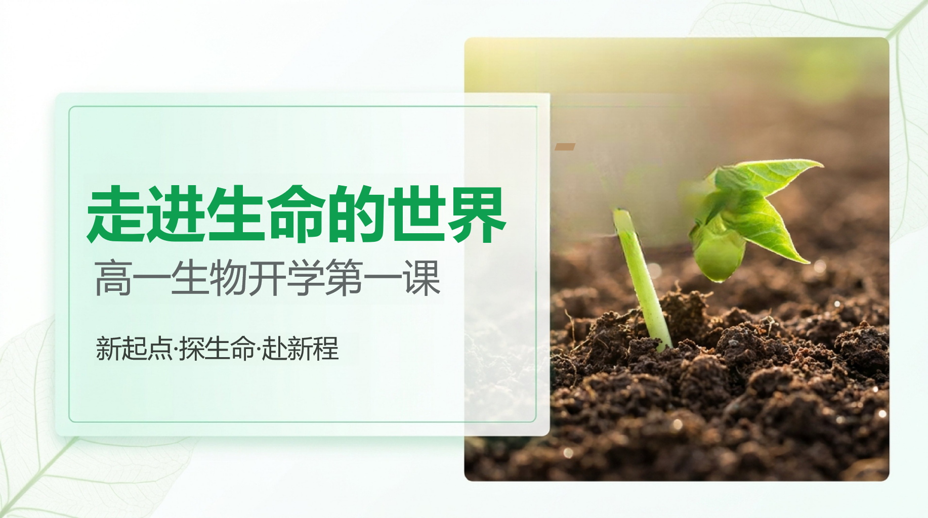 高一生物开学第一课 生命层次与生物学三大分支 教学PPT课件素材 PPT封面预览