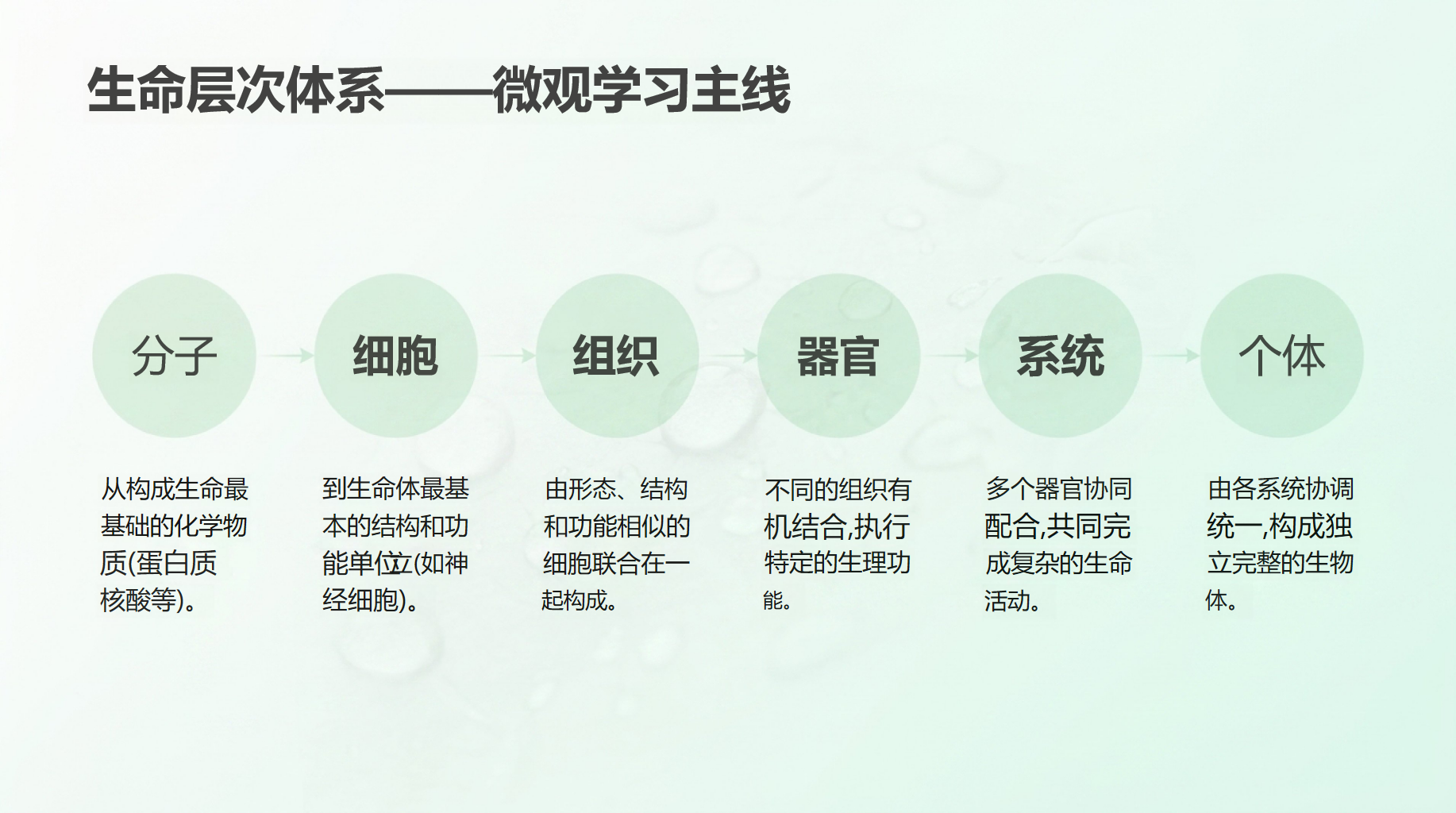 高一生物开学第一课 生命层次与生物学三大分支 教学PPT课件素材 第7页预览
