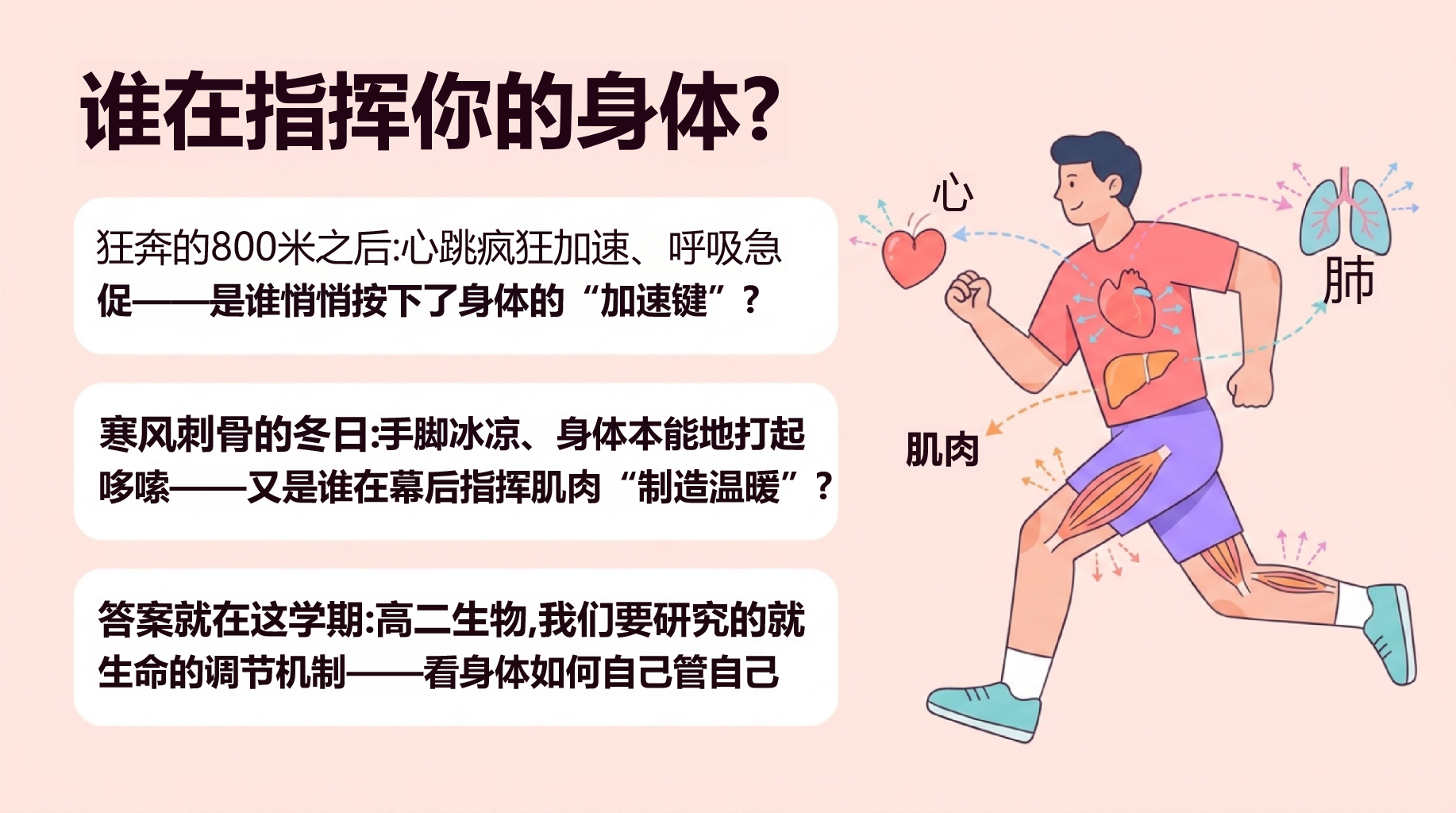 高二生物开学第一课 稳态与调节内环境 教学PPT课件素材 第2页预览