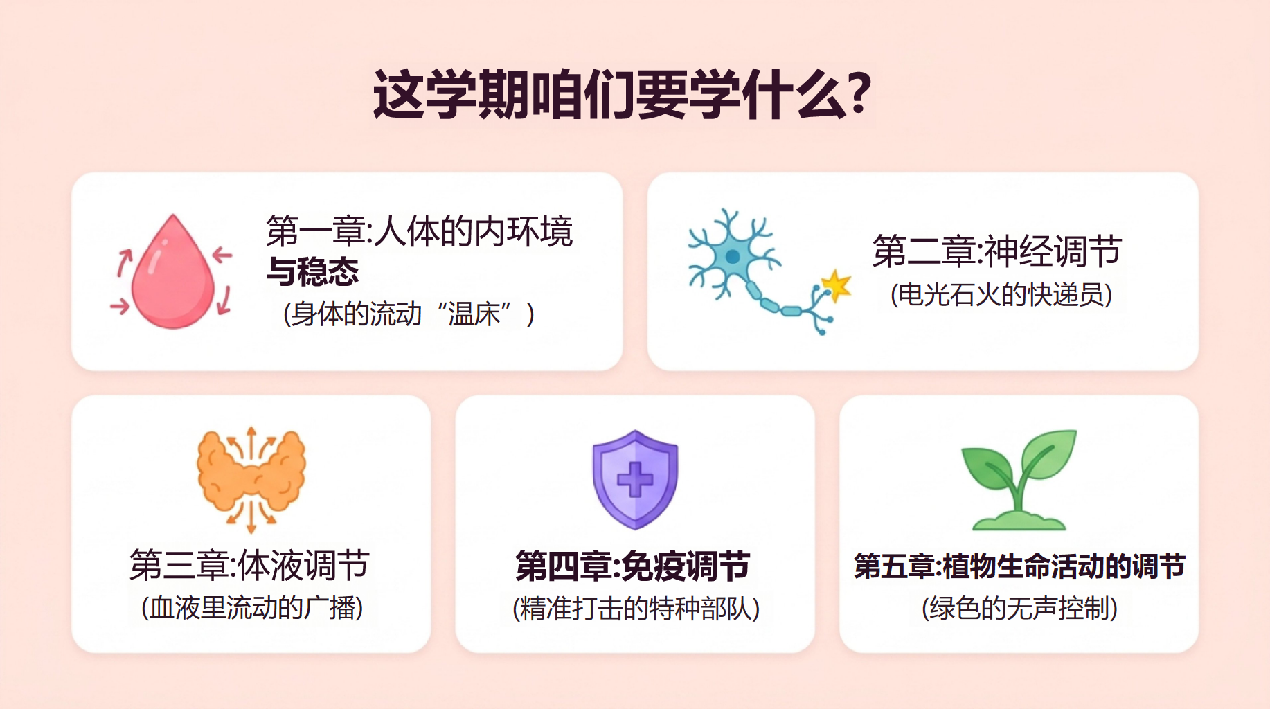 高二生物开学第一课 稳态与调节内环境 教学PPT课件素材 第4页预览