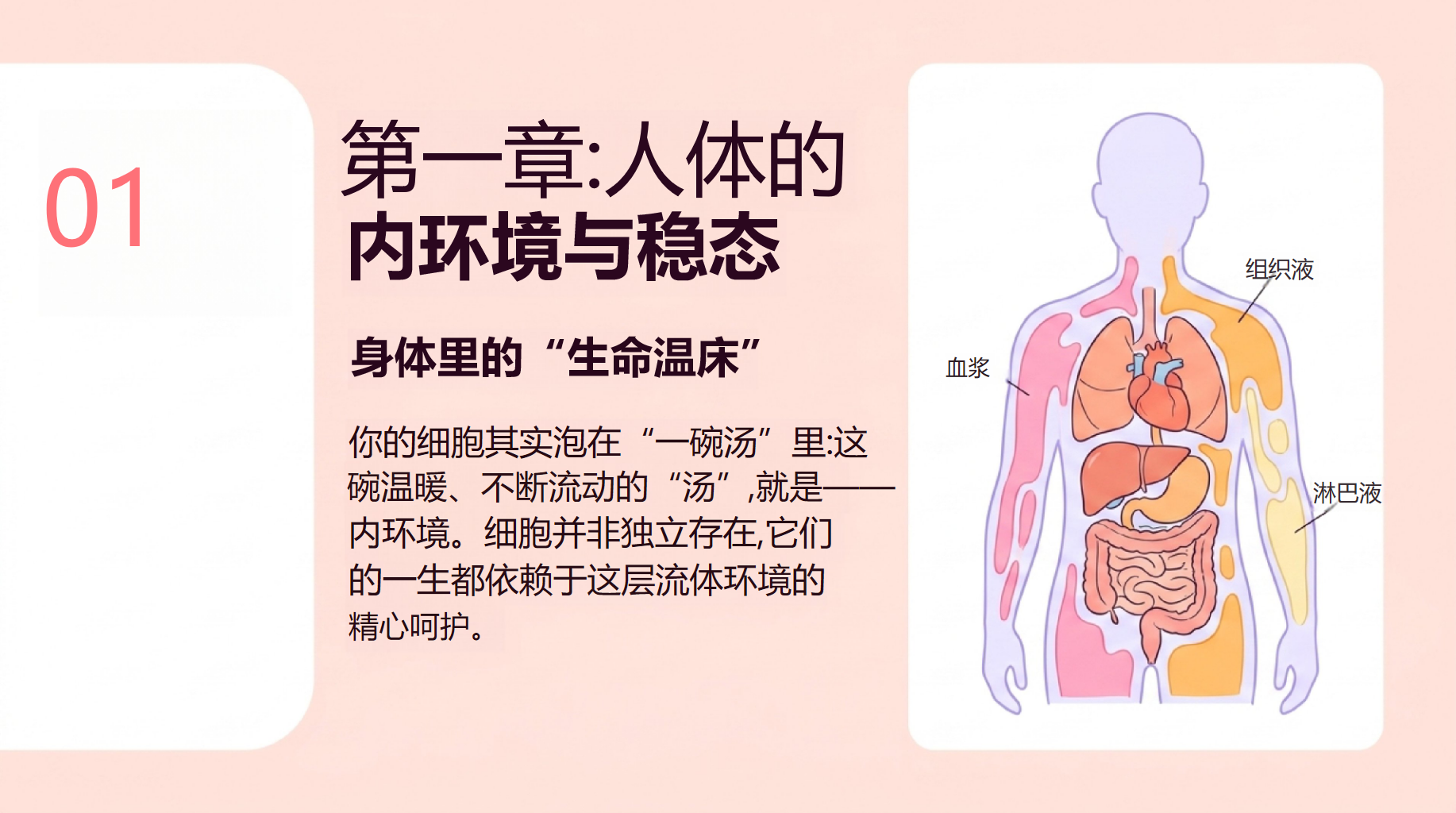 高二生物开学第一课 稳态与调节内环境 教学PPT课件素材 第5页预览
