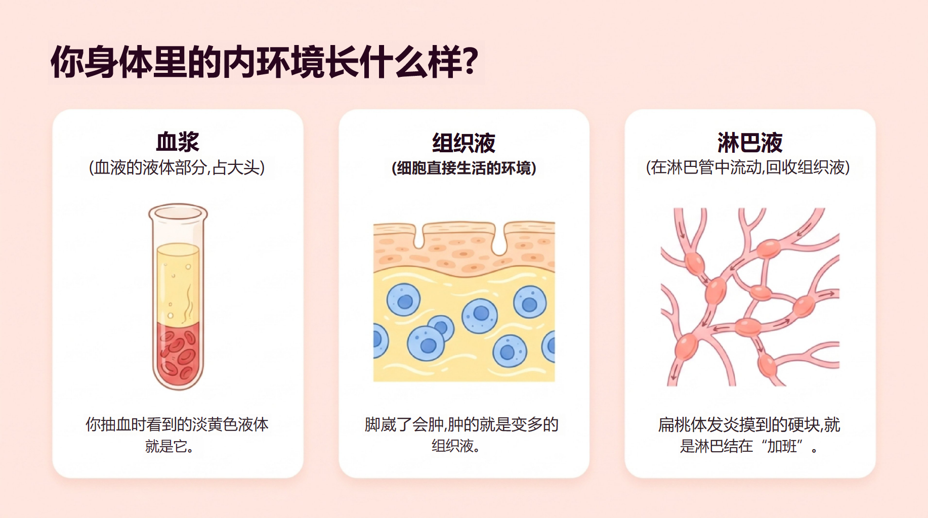 高二生物开学第一课 稳态与调节内环境 教学PPT课件素材 第6页预览