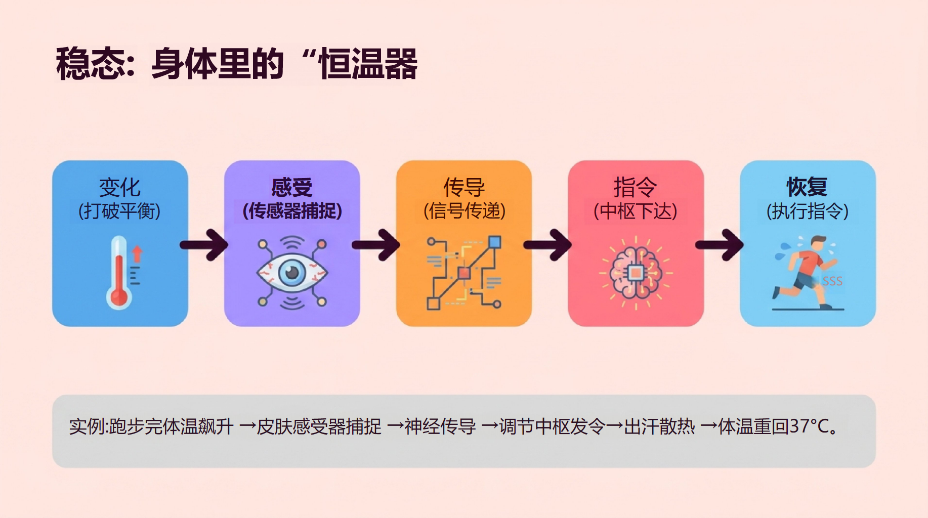 高二生物开学第一课 稳态与调节内环境 教学PPT课件素材 第7页预览