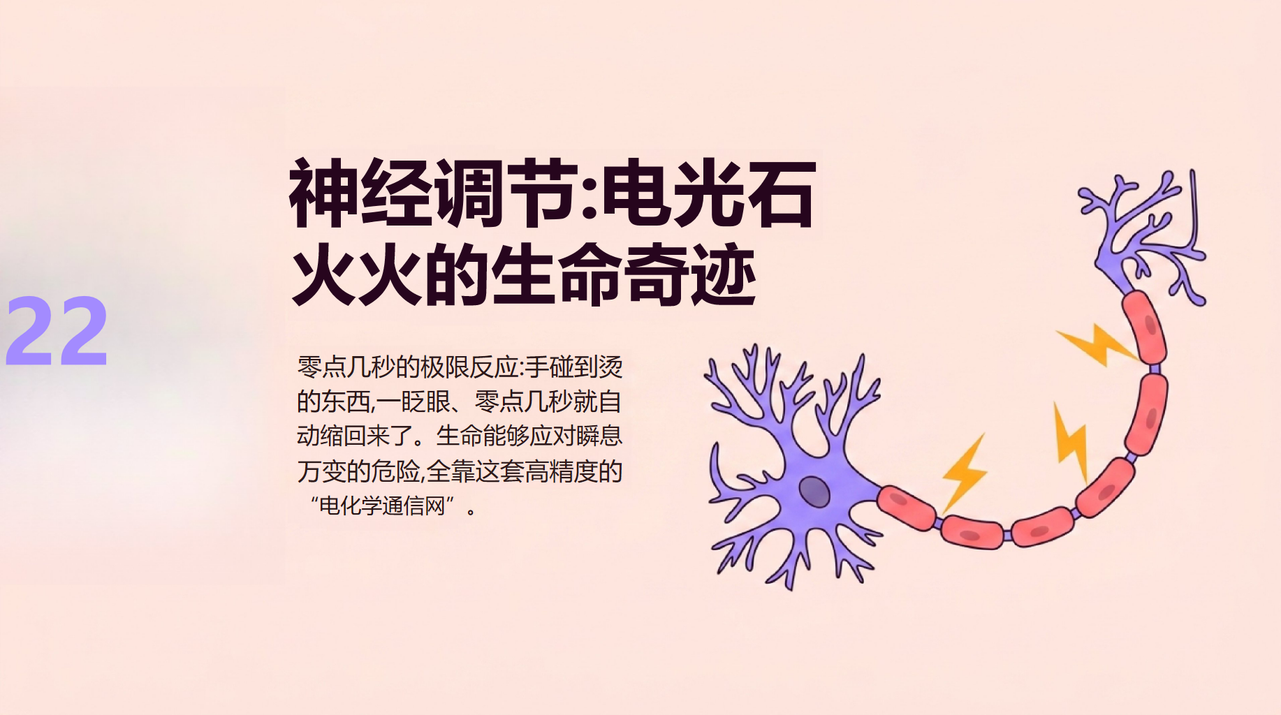 高二生物开学第一课 稳态与调节内环境 教学PPT课件素材 第8页预览