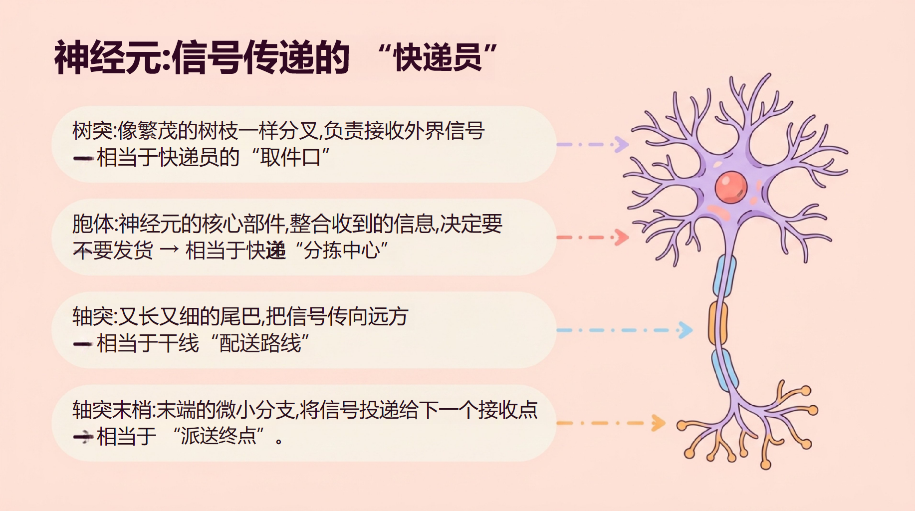 高二生物开学第一课 稳态与调节内环境 教学PPT课件素材 第9页预览