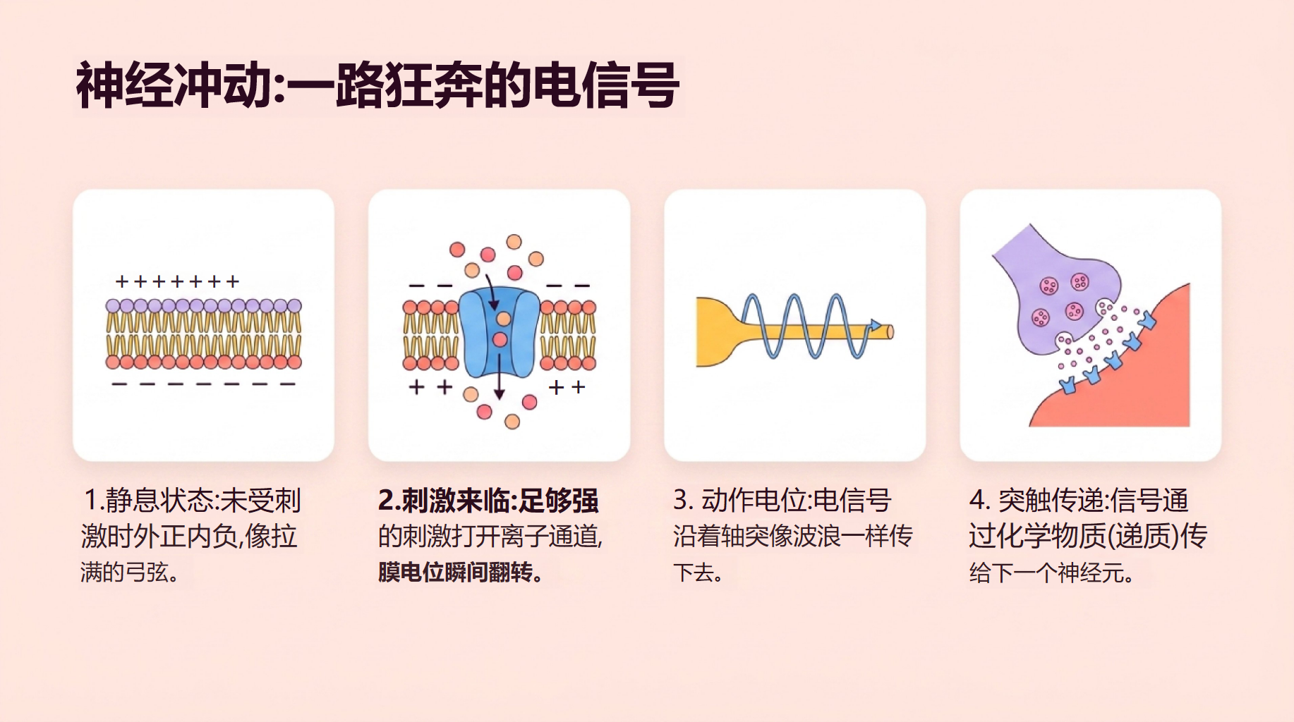 高二生物开学第一课 稳态与调节内环境 教学PPT课件素材 第10页预览