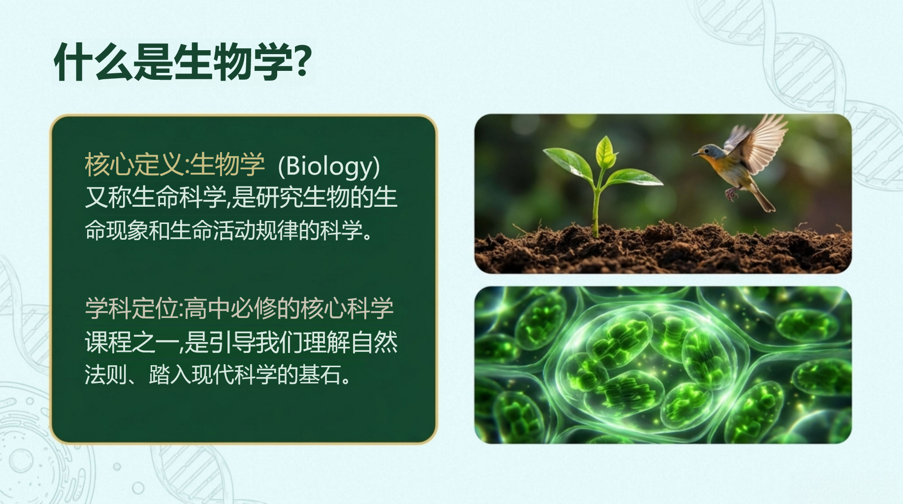 高一生物教学课件高考安全教育 宜条件与食品安全控制下如何完成发酵 教学PPT课件素材 第3页预览