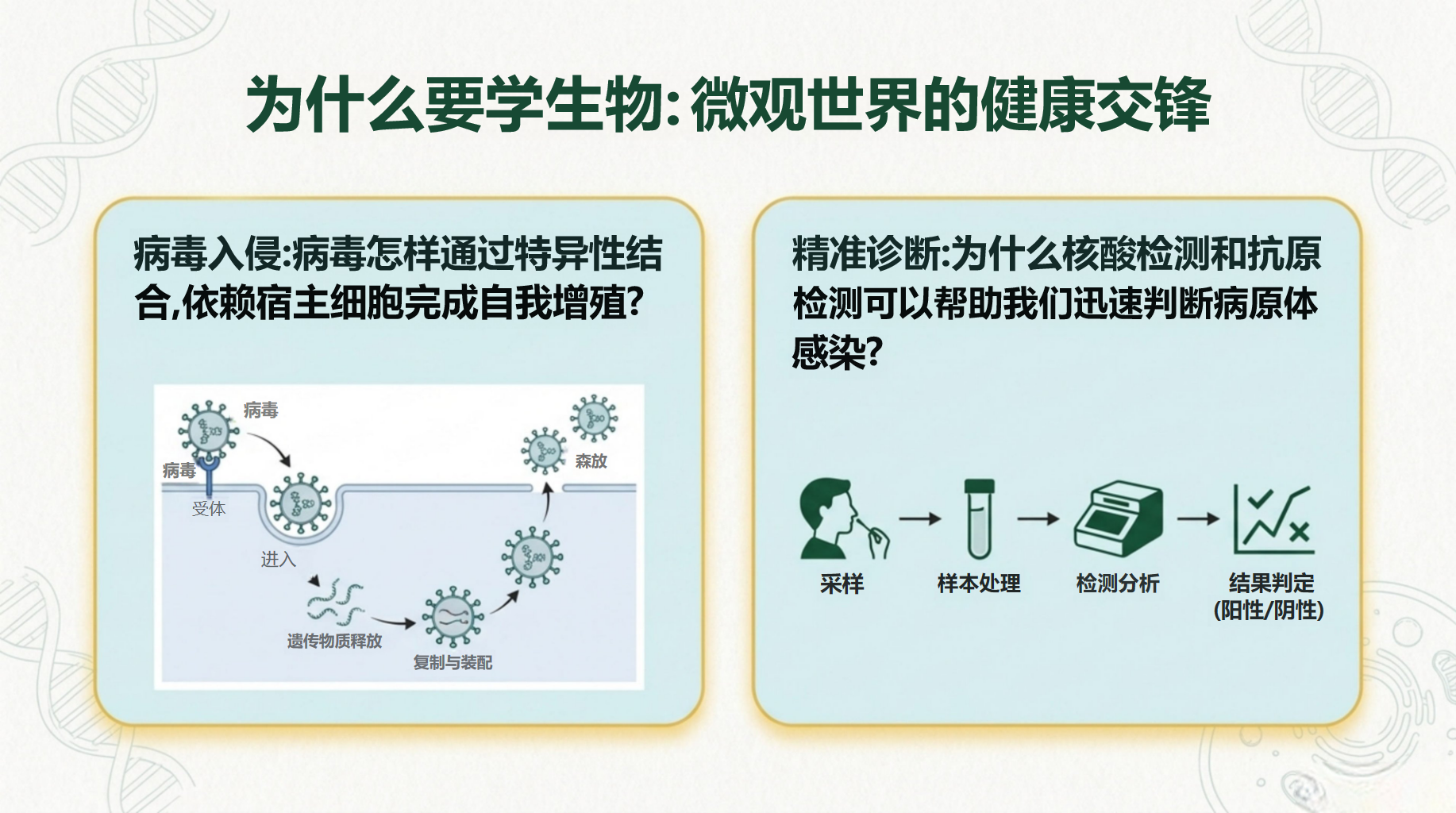 高一生物教学课件高考安全教育 宜条件与食品安全控制下如何完成发酵 教学PPT课件素材 第4页预览