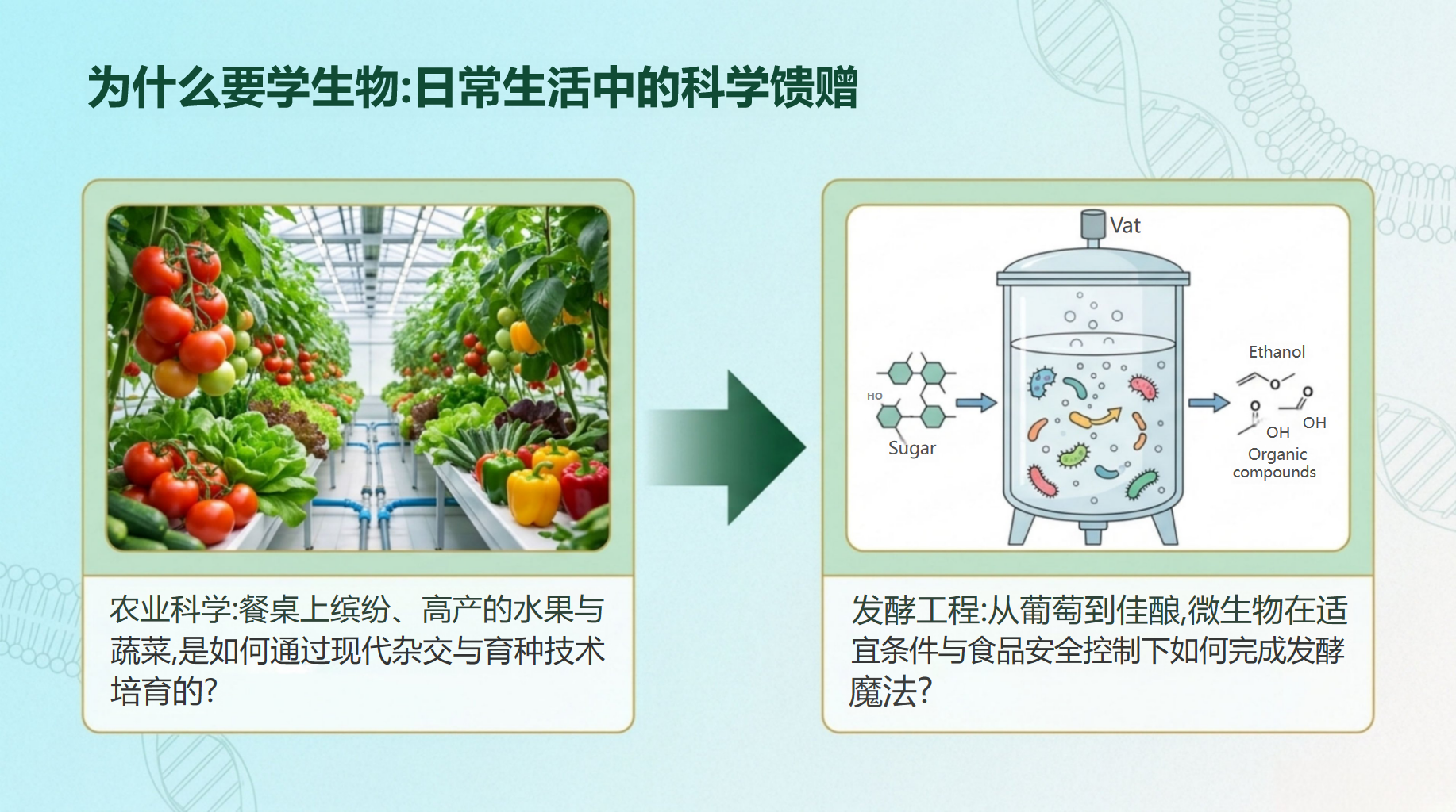 高一生物教学课件高考安全教育 宜条件与食品安全控制下如何完成发酵 教学PPT课件素材 第5页预览