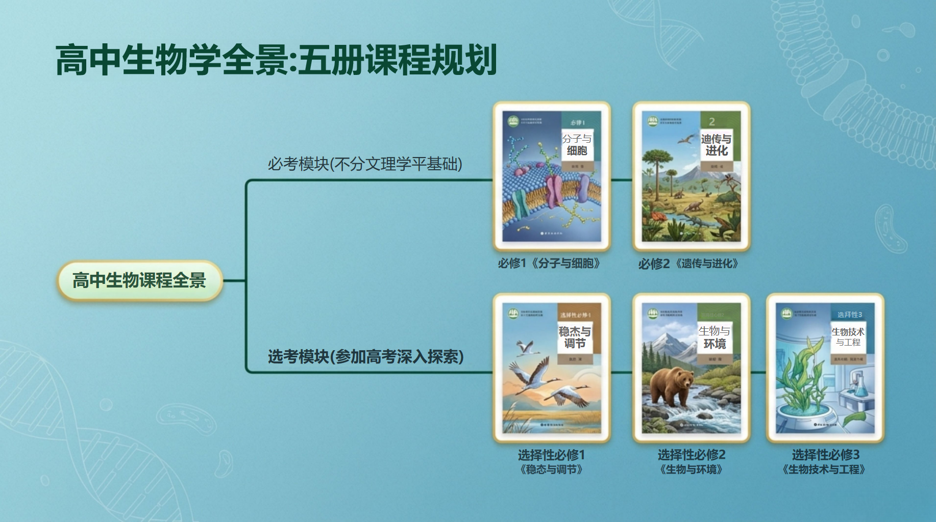 高一生物教学课件高考安全教育 宜条件与食品安全控制下如何完成发酵 教学PPT课件素材 第9页预览