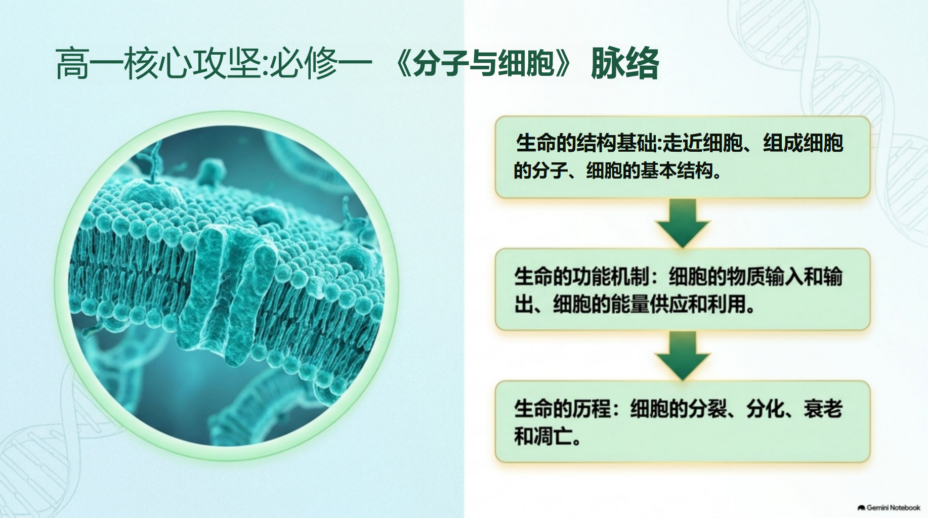 高一生物教学课件高考安全教育 宜条件与食品安全控制下如何完成发酵 教学PPT课件素材 第10页预览