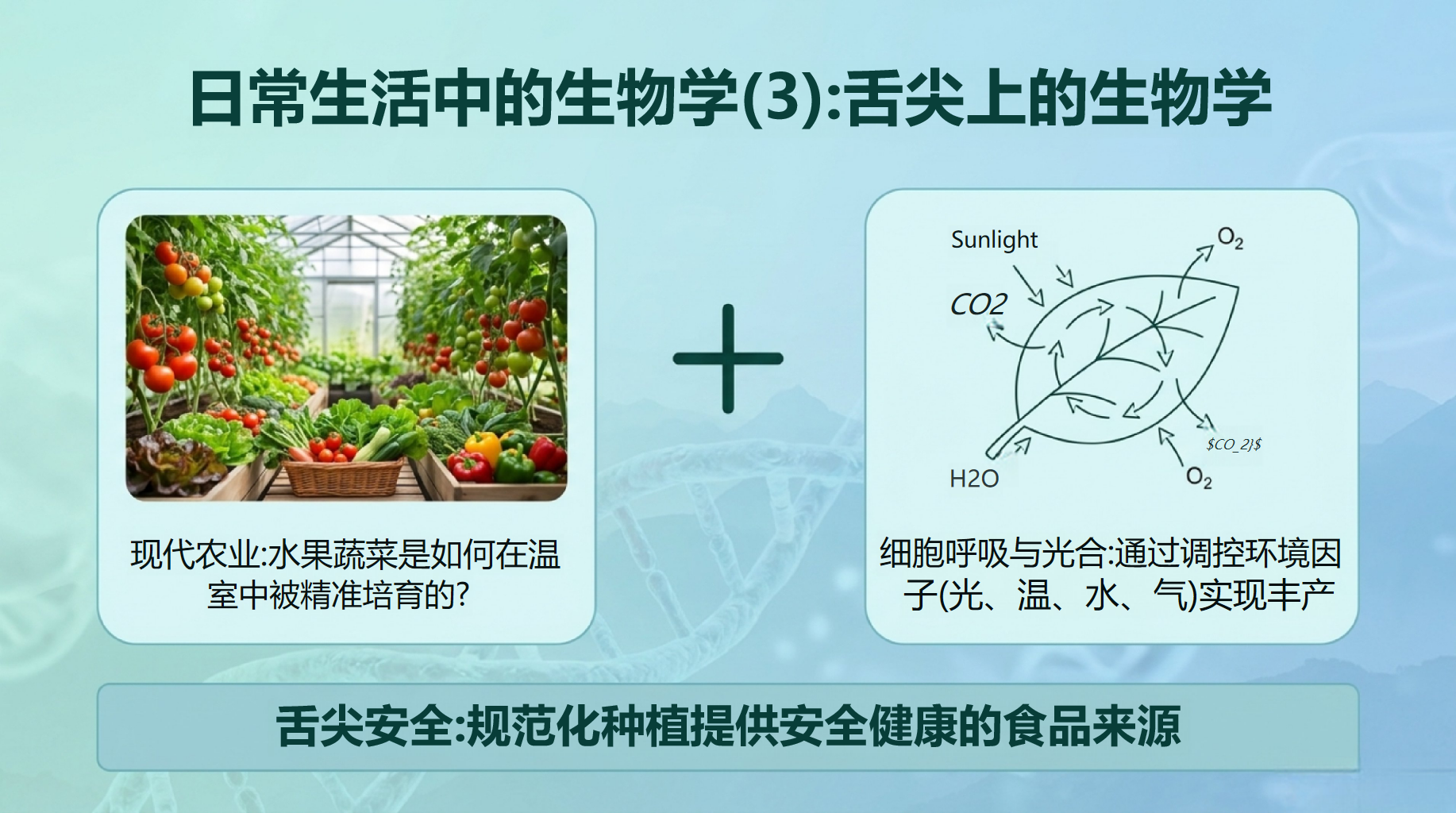 高一生物教学课件高考安全教育 掌握科学方法与课堂常规 教学PPT课件素材 第7页预览